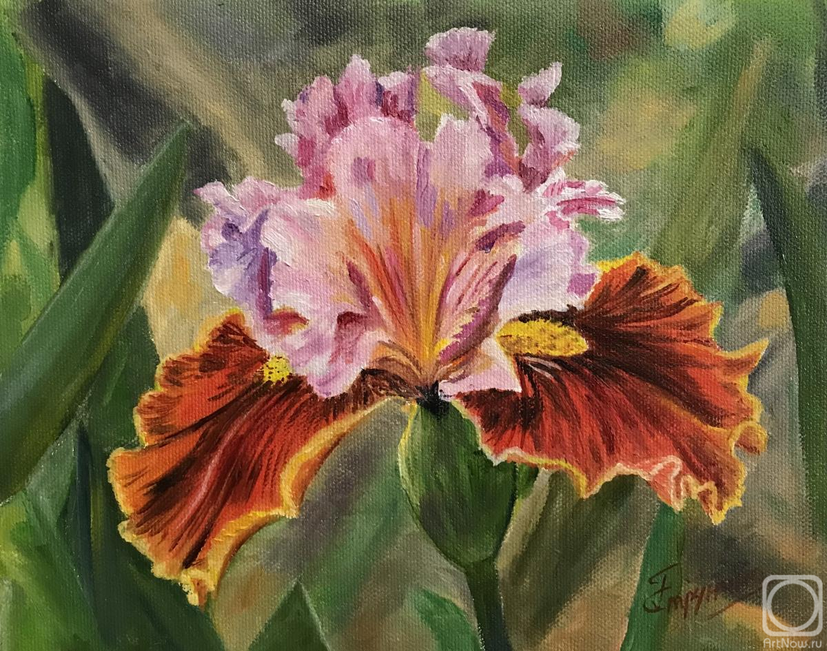 ������� ������ �� ������. �������� ������. ����