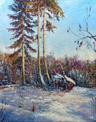 Winter day (Winter Spruce Painting). Murtazin Ilgiz