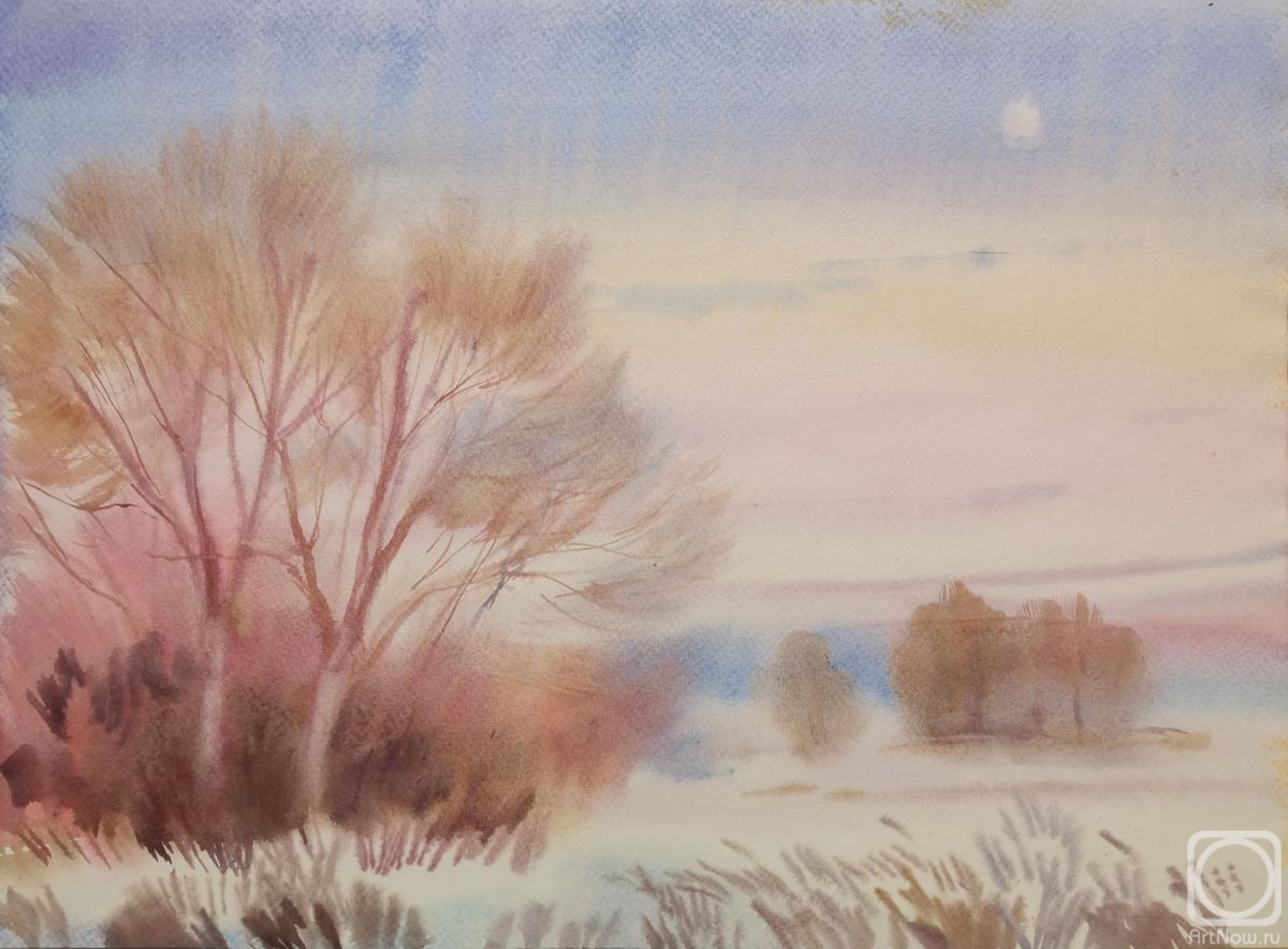 Goryushkina Anastasiya. Moonlit evening