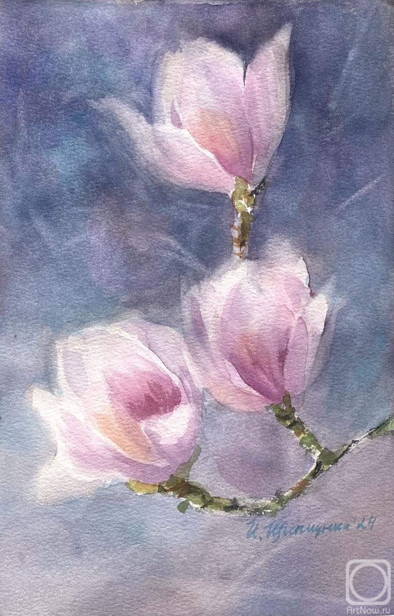 �������. �������� �����. ��������