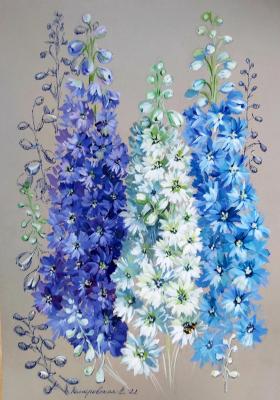 �����������. ����������� �����