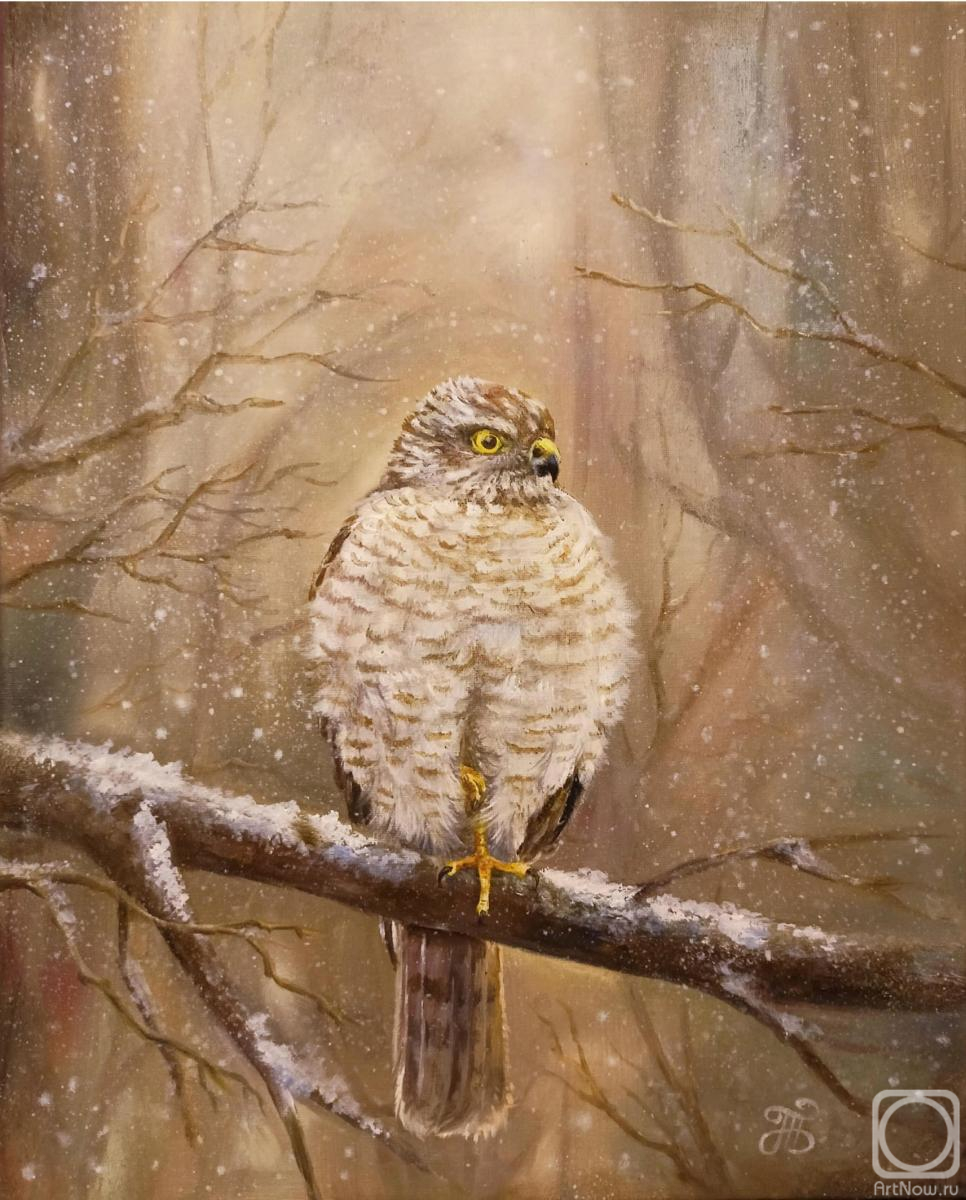 Borisenko Tatyana. Zapurzhilo