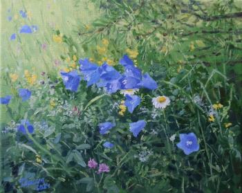 ������� ���������� � ���� ���� �������������� �����