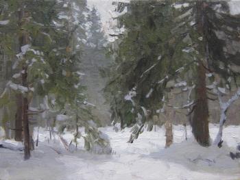 Quiet in the winter forest