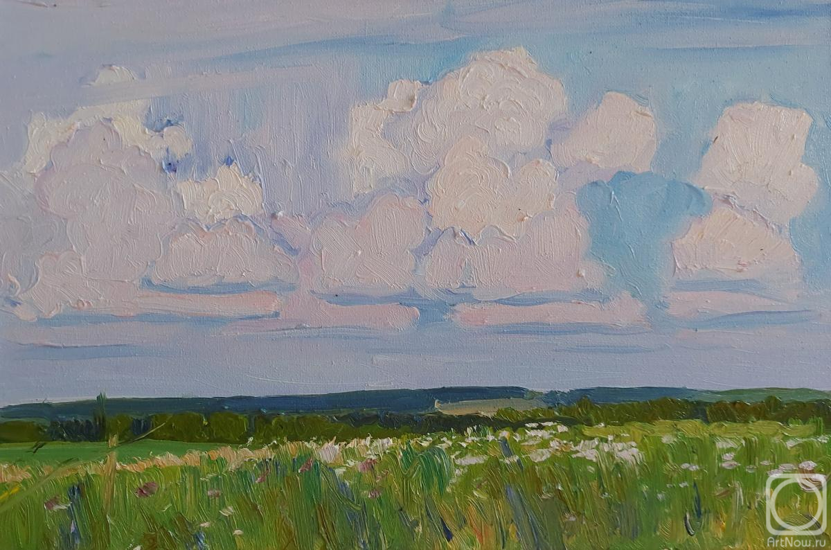Melnikov Aleksandr. Clouds float over meadows and fields
