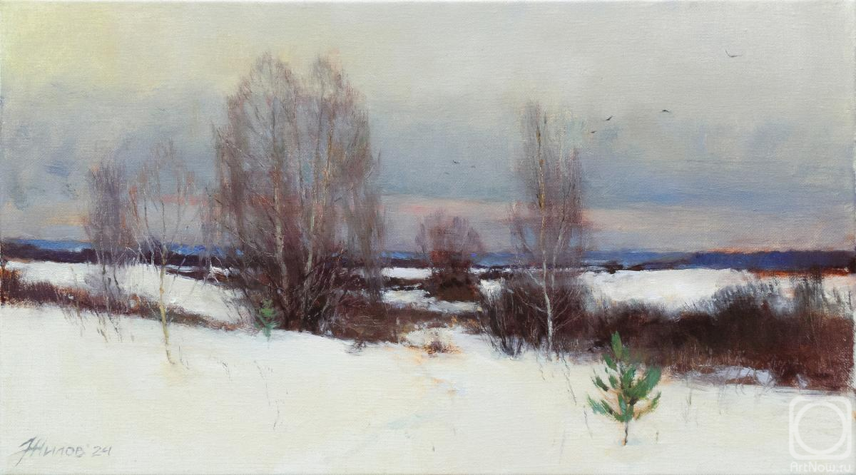 Zhilov Andrey. Winter dream
