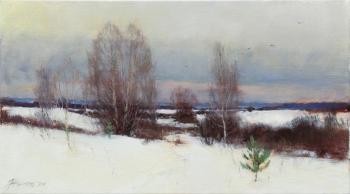 Winter dream (Winter Field). Zhilov Andrey