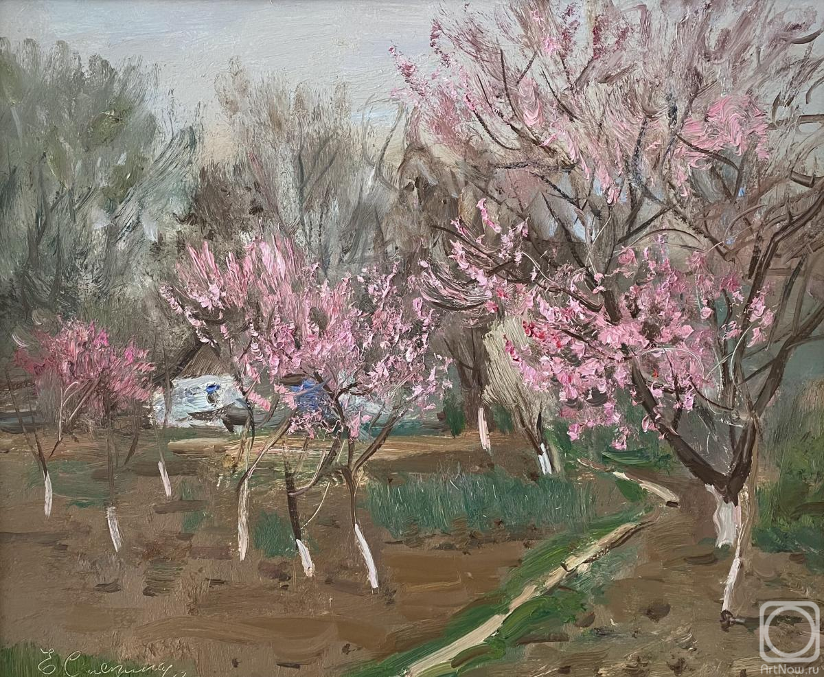 Sayapina Elena. Peach trees blooming