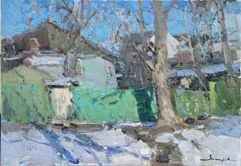 Sunny day in January (Winter In The South). Makarov Vitaly