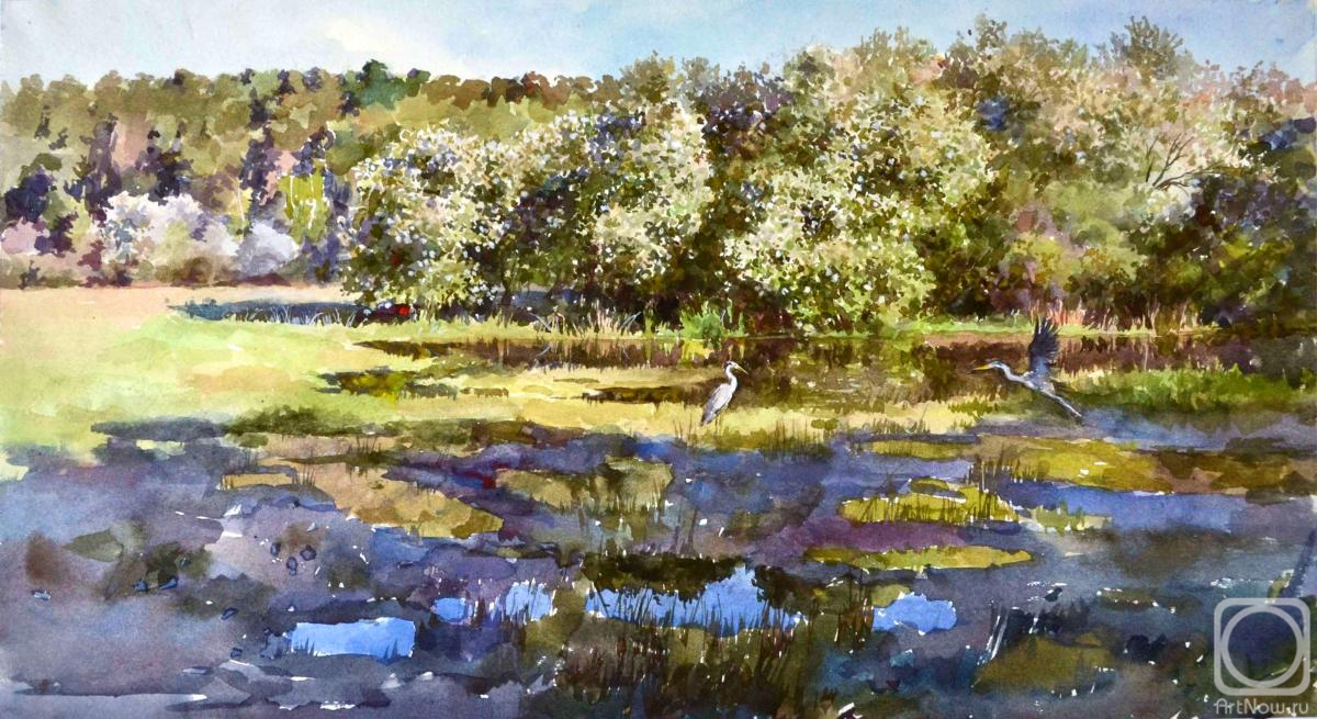 �������. �������� �������. �����