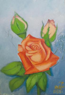 Rose Mandarin (Painting Is Not Expensive). Ivanova Svetlana