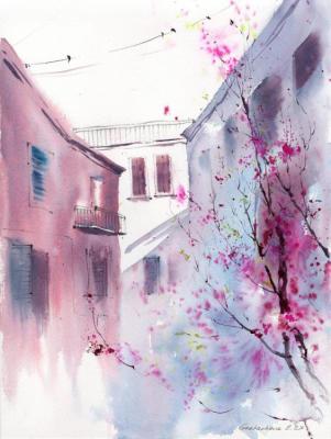 Pink motifs Spring in Italy. Gorbacheva Evgeniya
