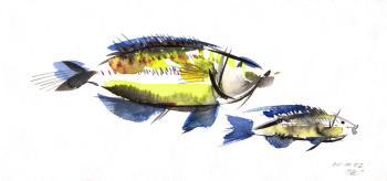 Catfish (etude). Belkina Kseniya