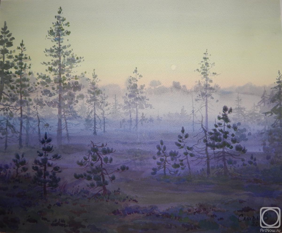 Salivan Varvara. Swamp in the fog