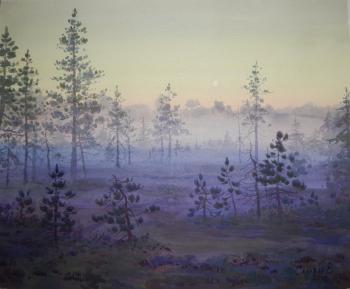 Swamp in the fog. Salivan Varvara