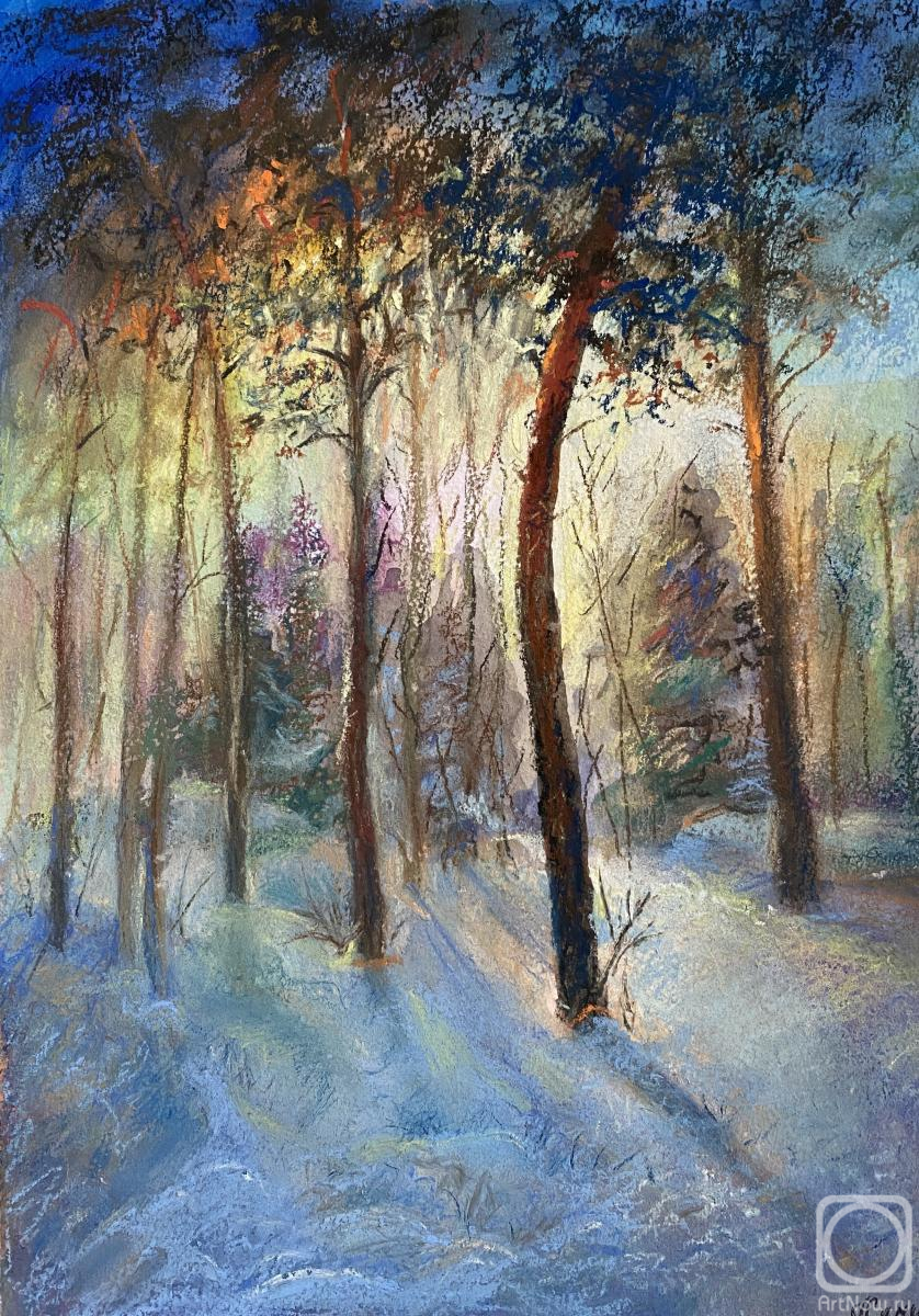 Syachina Galina. Dawn in the winter forest