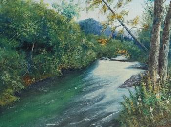 The river in Kamchatka. Stolyarov Gennadiy