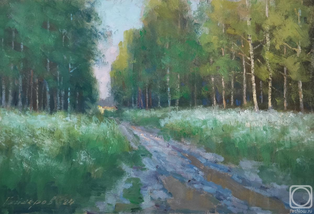 Gaiderov Michail. Road in the forest