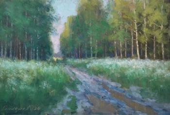 Road in the forest. Gaiderov Michail