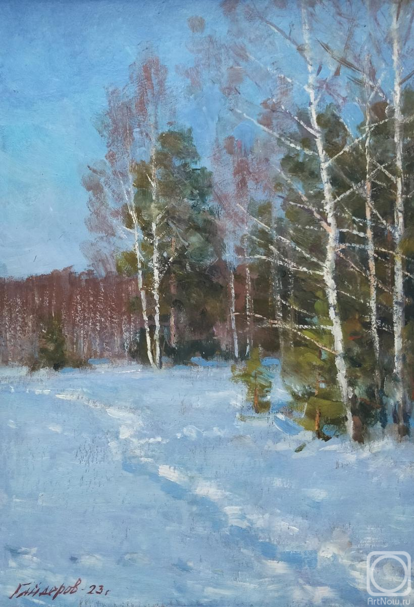 Gaiderov Michail. Trail in the snow