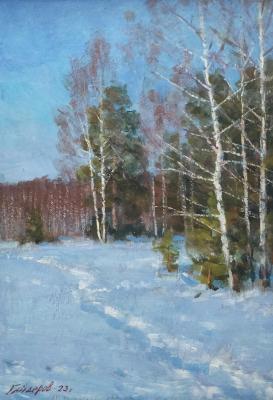 Trail in the snow. Gaiderov Michail