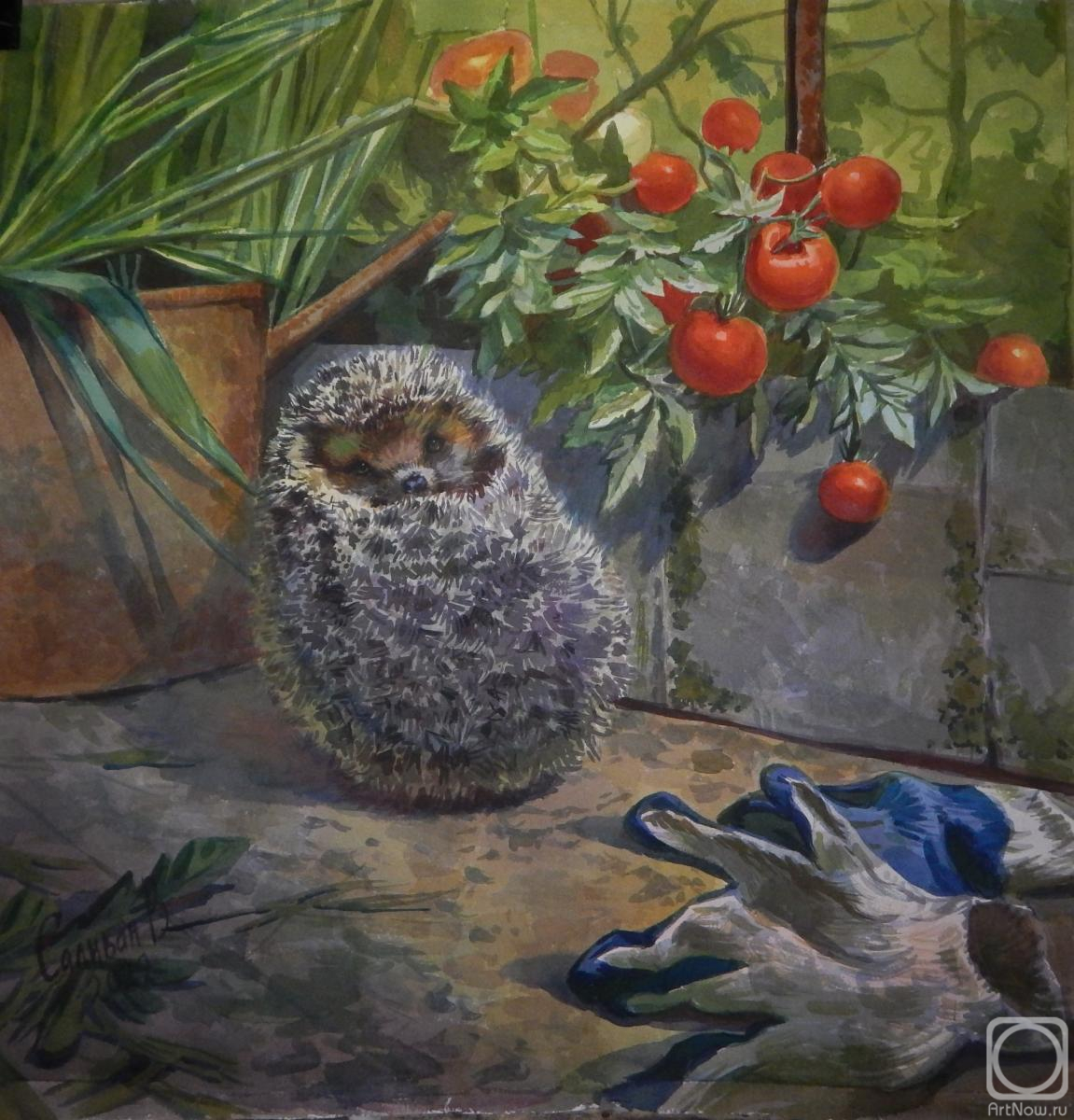 �������. ������� �������. ������