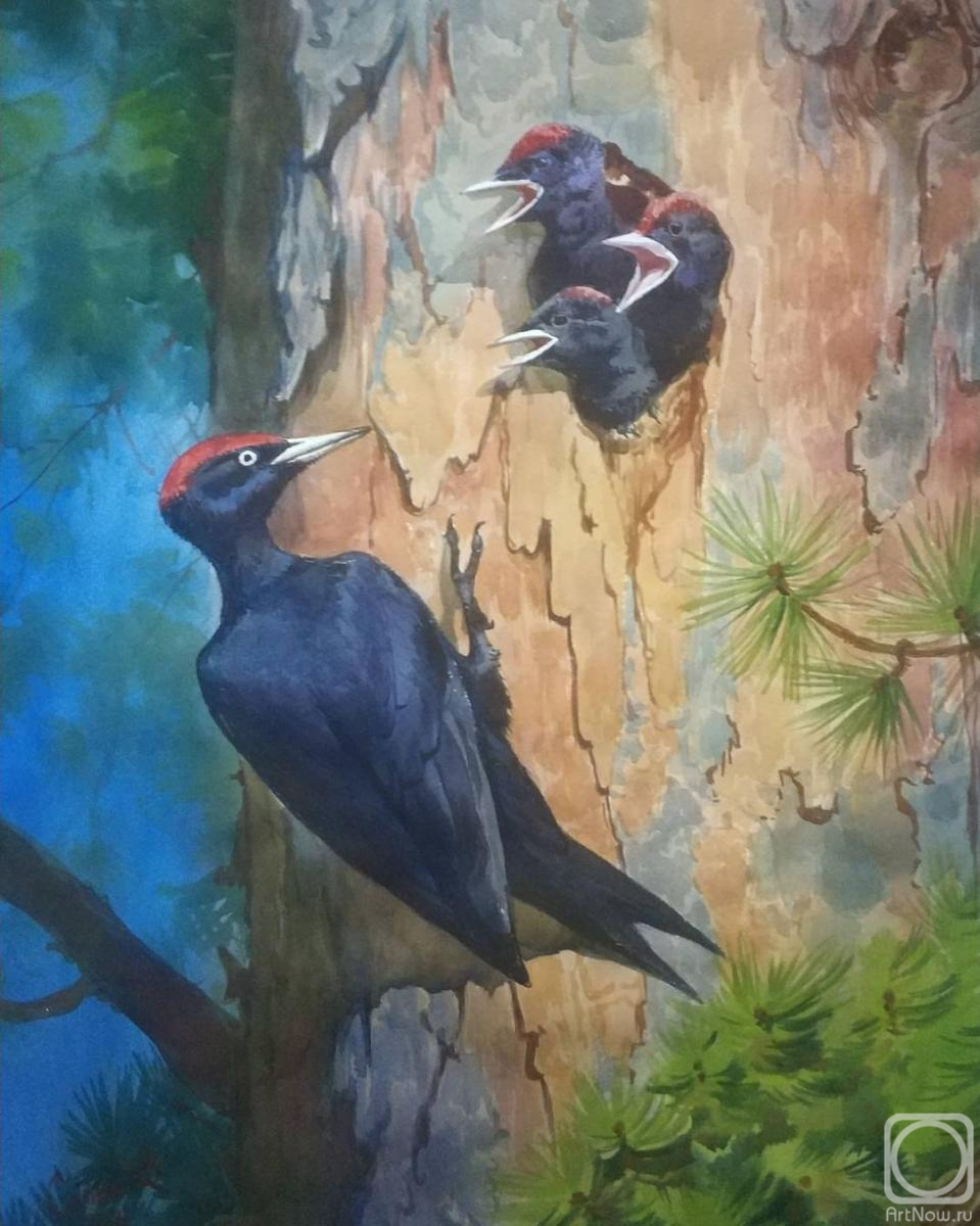 �������. ������� �������. ����������� ����