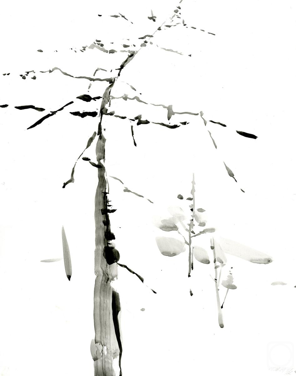 �������. ������� ������. ����� (������, ���� 1)