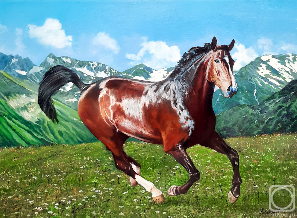 ������� ������ �� ������. �������� �������. � �����