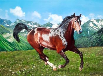 In the mountains (Horse In The Meadow). Kabatova Nadya