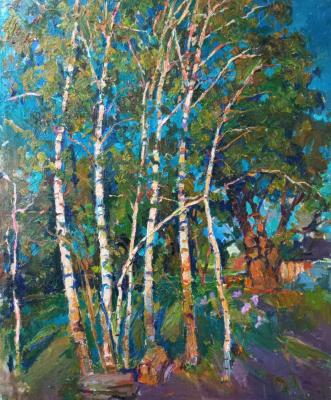 Birch. May. Sorokina Olga
