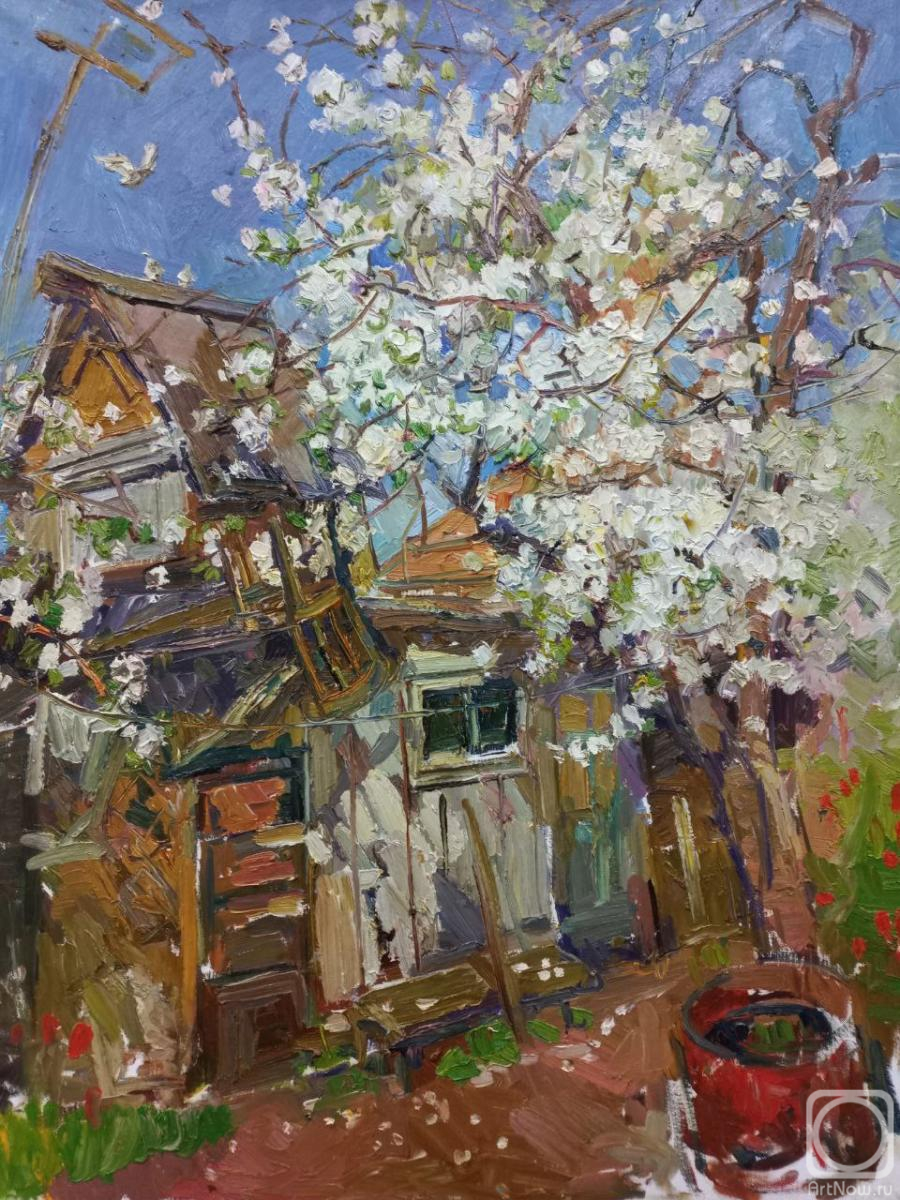 Sorokina Olga. Courtyard with a blossoming apple tree