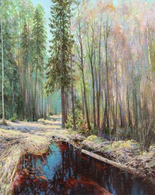 The snow has melted. Gat (Spruces). Sergeev Oleg