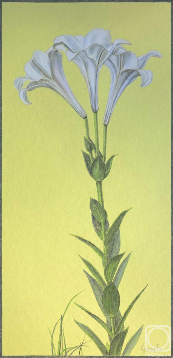 �������. ������ ����. ������ �� �����