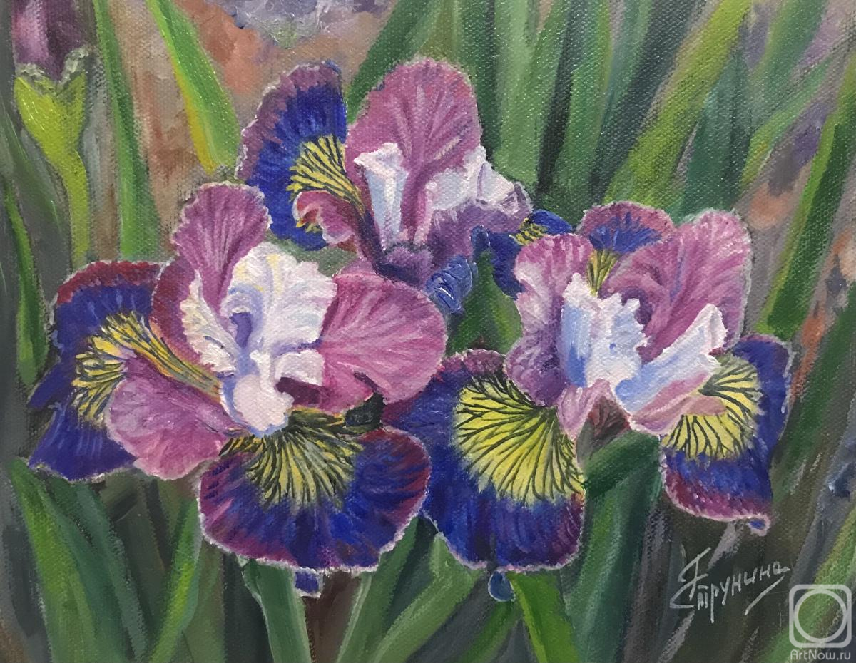 ������� ������ �� ������. �������� ������. �����