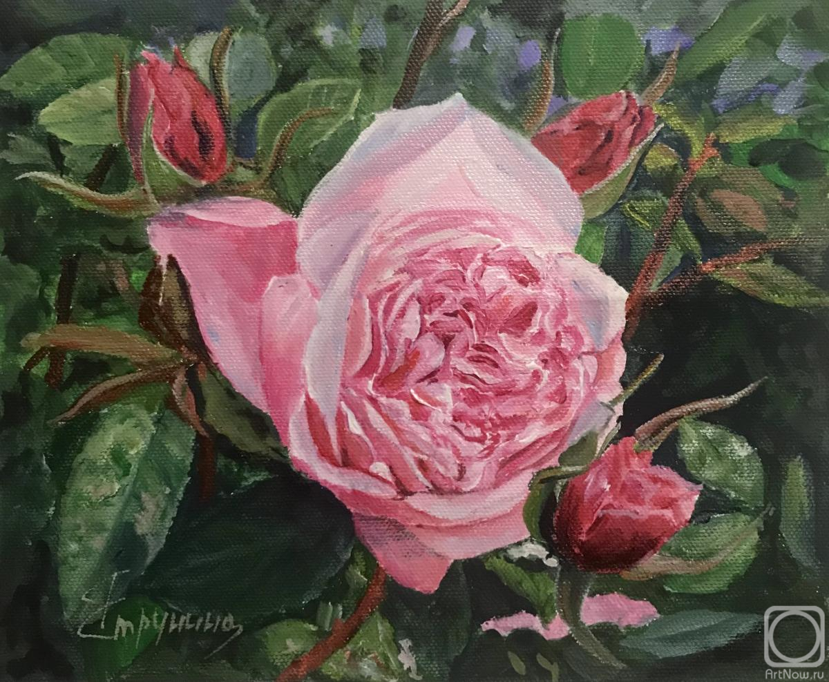 ������� ������ �� ������. �������� ������. ����