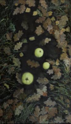 Korepanov Alexander Sergeevich. Autumn apples