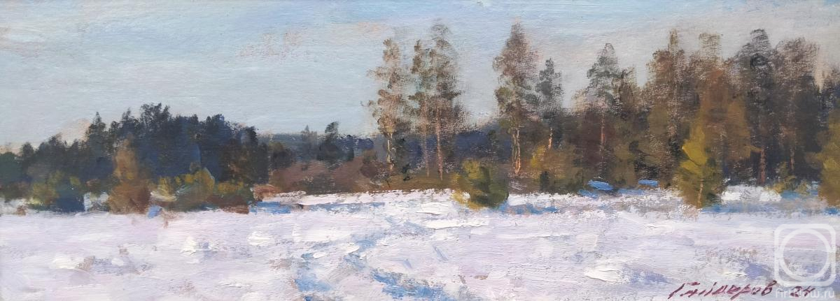 Gaiderov Michail. Winter Etude