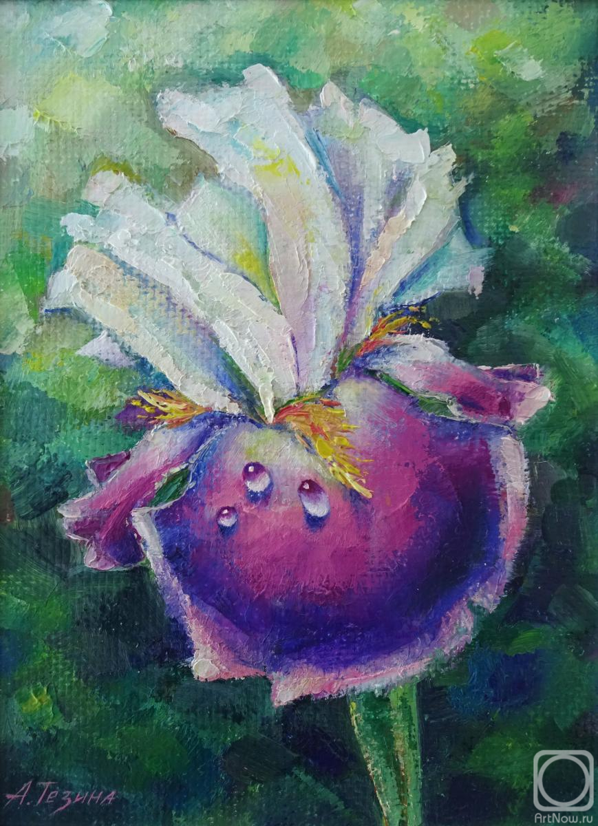 �������. ������ ����. ����