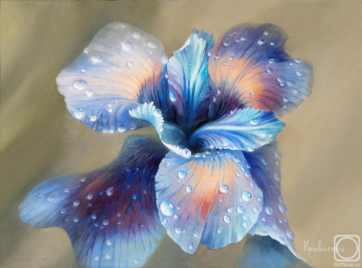 Kravchenko Yuliya. Iris Flower After Rain #1