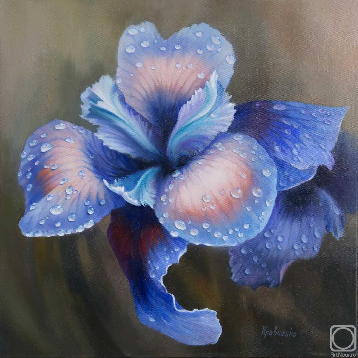 Kravchenko Yuliya. Iris Flower After Rain #2