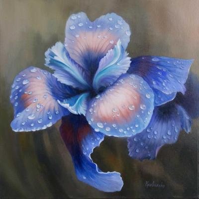 Iris Flower After Rain #2. Kravchenko Yuliya