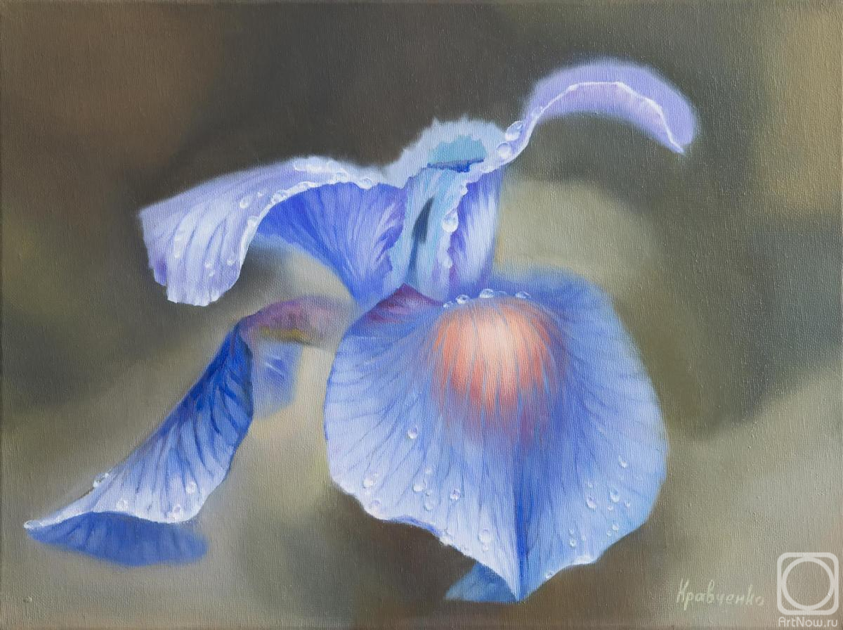 Kravchenko Yuliya. Iris Flower After Rain #3
