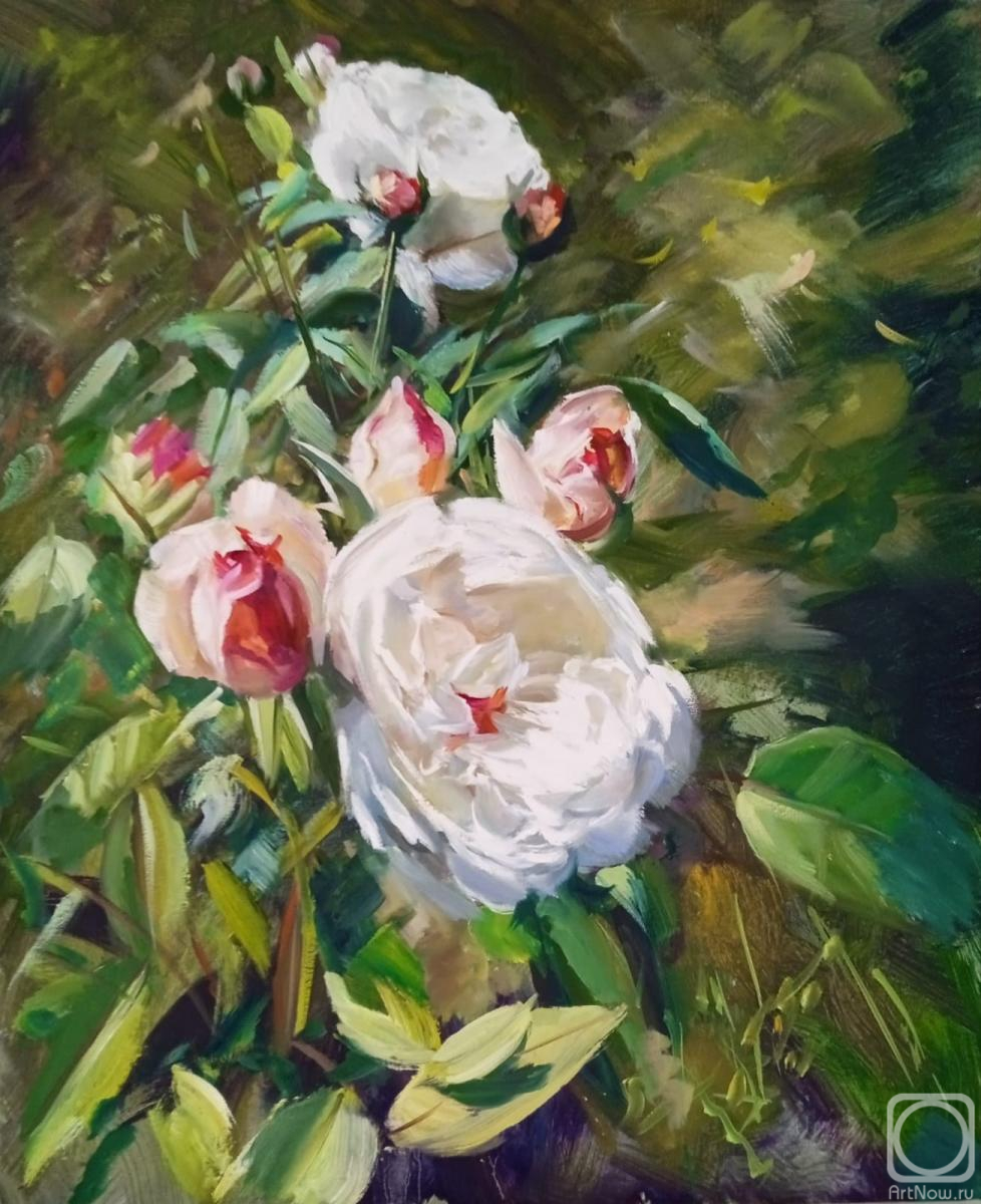 Korolev Andrey. Roses