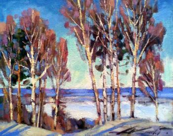 February birches. Knecht Aleksander