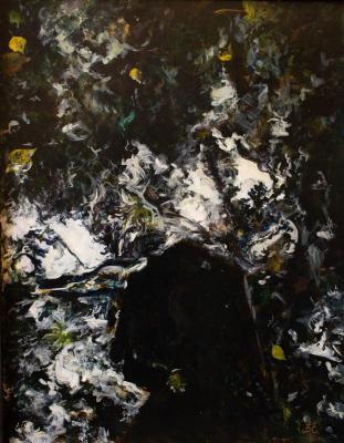 ���������. ������� ��������