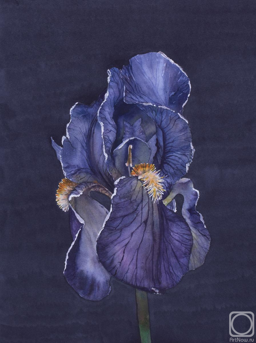 �������. ��������� �������. ׸���� ������