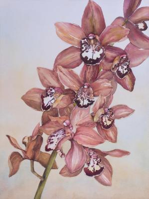 Orchid. Grudanova Varvara