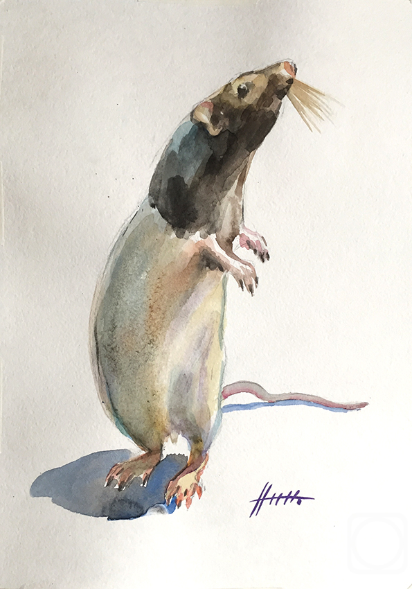 Napolova Natalia. Rats