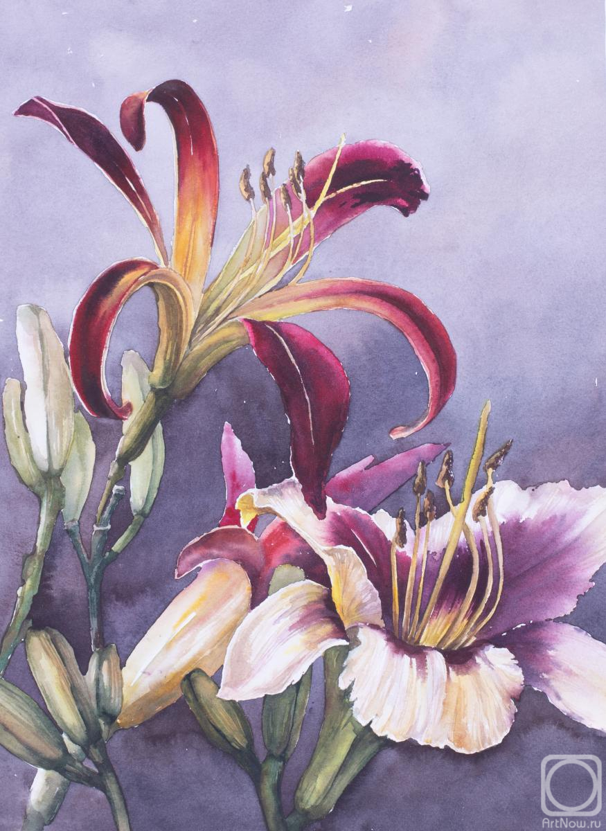 �������. ��������� �������. ����� �����